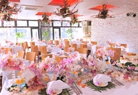 Ｌｏｃｏ’ｓ ＴＡＢＬＥ ＭＡＨＡＮＡ 恵比寿〔ロコズテーブルマハナ〕