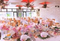 Ｌｏｃｏ’ｓ ＴＡＢＬＥ ＭＡＨＡＮＡ 恵比寿〔ロコズテーブルマハナ〕