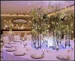 SOL ROOM