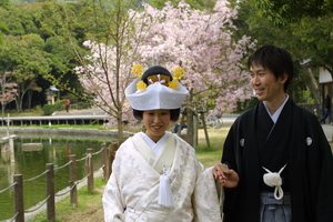 橿原神宮　和装　結婚式　和婚