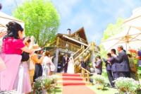 �֥롼�ߥ��ɡ�