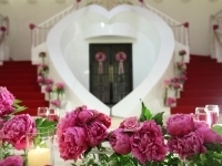 Pearl Garden�ڥѡ��륬���ǥ��
