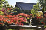 太閤園庭園にて、人気のシーズンの紅葉をバックに写真撮影