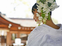 豊国神社(ウェディングプロデュース「京泉華」) 豊国神社(ウェディングプロデュース「京泉華」)