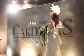 【2012年限定!!!】New Style Plan