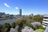 上野精養軒