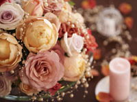 �ۥƥ��������ɡ��ơ��֥륳���ǥ��͡���