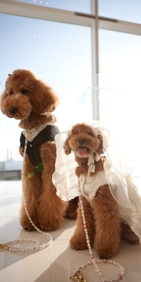 クレールベイサイド　結婚式