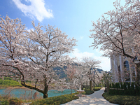 迎賓館サクラヒルズ 川上別荘