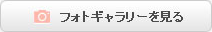 フォトギャラリー