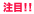 注目！！
