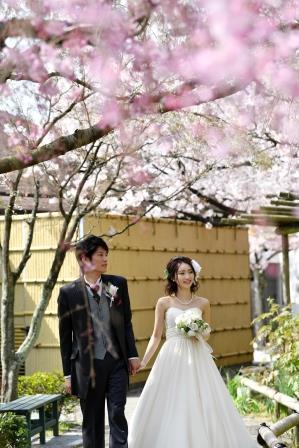 筥崎宮ウェディング 結婚式場 二次会会場検索 ヤッピーウェディング