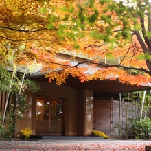 【神社挙式まるわかり相談会】神社挙式＆老舗料亭で究極のおもてなしのメイン画像