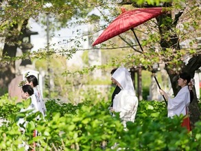 ＜神前式プラン＞【最大50万円優待】格式有る神社挙式が叶うのメイン画像