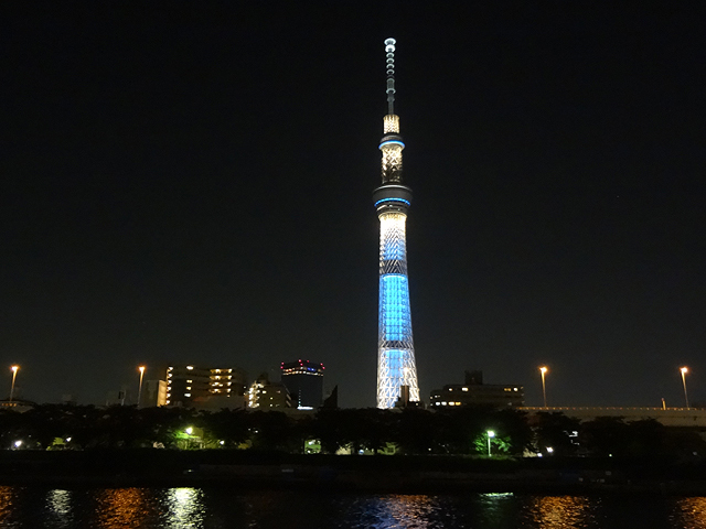 昼と夜、また違う趣き東京を代表するシンボルでもある美しい東京タワーやスカイツリーなど