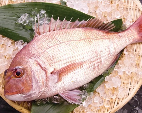鯛
