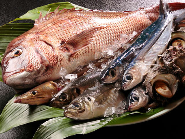 全国の新鮮な季節の海の幸和食の基本食材の一つである魚は、鮮度が命。板前達が長年の経験と技を活かし徹底管理しご提供。