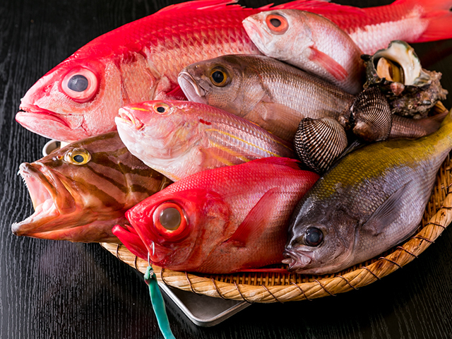 産地直送で仕入れる全国の魚介北海道の厚岸、千葉の勝浦、静岡の須崎などの漁港から直送で仕入れる旬の魚介をご提供。