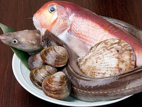 プロが目利きした新鮮魚介