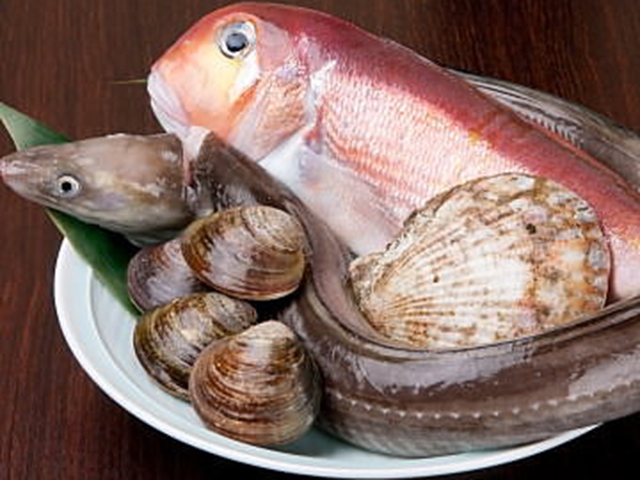 長崎県五島より直送の天然魚長崎県五島より直送の天然魚旬を迎え脂の乗った天然魚。炭火焼きで旨みを存分に引き出します。