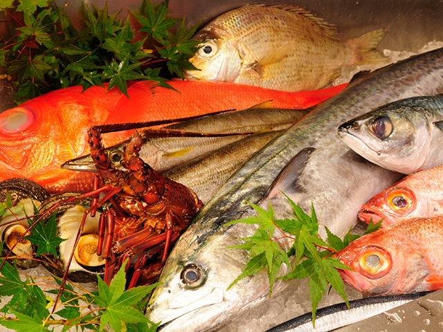 中央市場直送の新鮮魚介自慢の鮮魚は、明石や瀬戸内海など近海の天然物を中心に、京都中央卸売市場より毎日仕入れています。